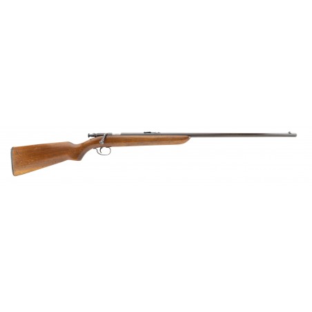 Remington 41 .22 LR (R29050)