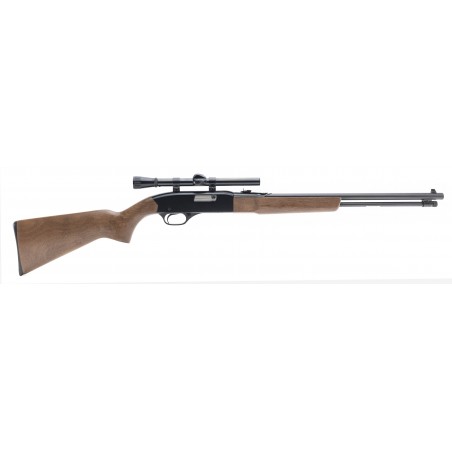 Winchester 190 22LR (W11281)