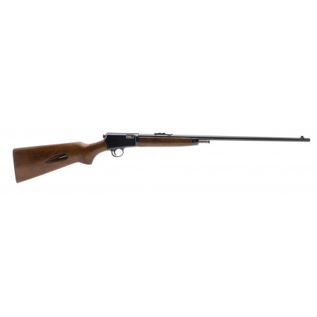 Winchester 63 .22 LR (W11280)