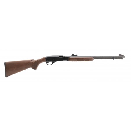 Remington 742 Fieldmaster 22LR (R29750)
