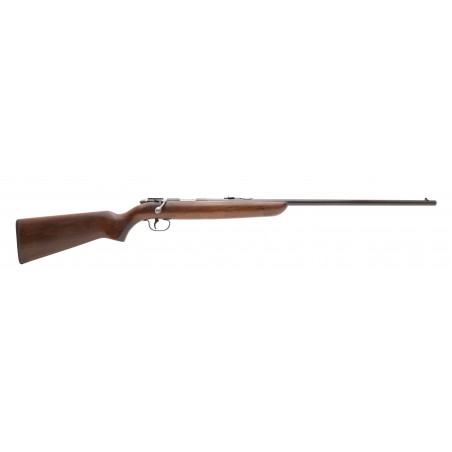 Remington 510 22LR (R29944)