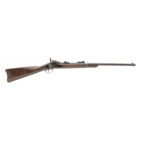 U.S. Model 1879 Springfield Trapdoor Carbine (AL6957)