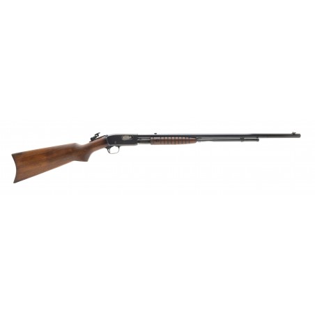 Remington 12 22LR (R30018)