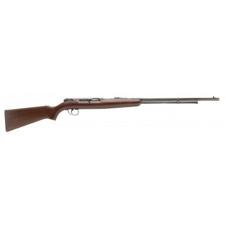 Remington 550-1 22LR (R30263)