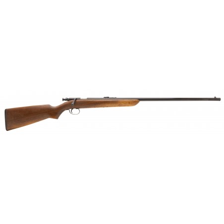 Remington 41 Targetmaster .22LR (R30410)