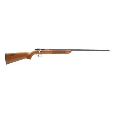 Remington 510 Targetmaster Smoothbore .22S,L,LR (R30430)