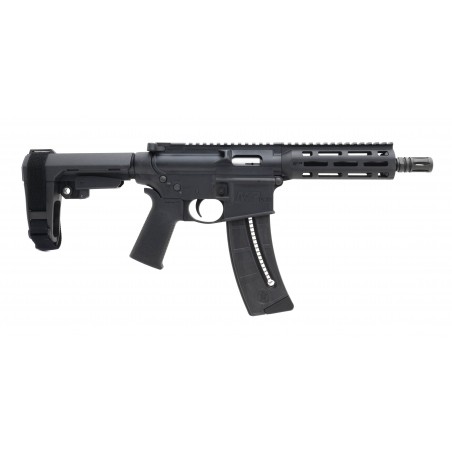 Smith & Wesson M&P 15-22 .22 LR (NGZ82) NEW