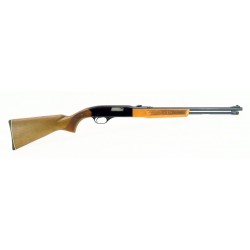 Winchester 290 .22 S, L, LR...