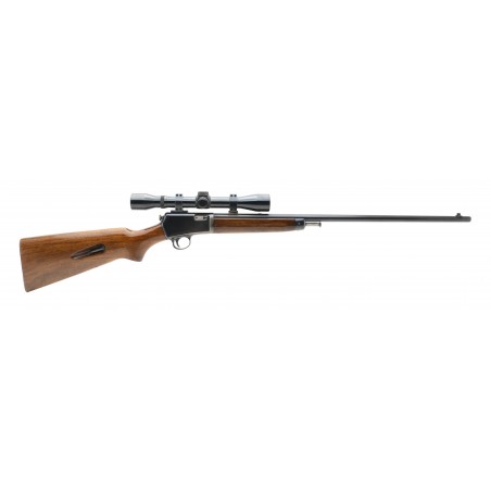 Winchester 63 .22LR (W11499)