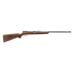 Winchester 74 .22LR (W11628)