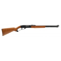 Winchester 250 .22LR (W11522)