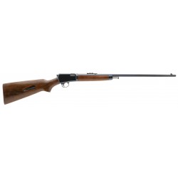 Winchester 63 .22LR (W11523)