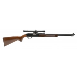 Winchester 270 .22LR (W11528)