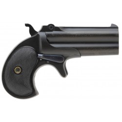 Remington 95 Derringer...