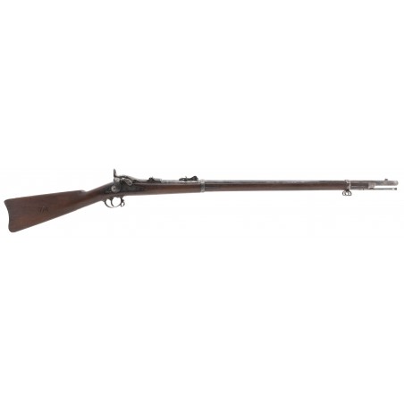 U.S. Springfield Model 1879 Trapdoor rifle .45-70 (AL6026)
