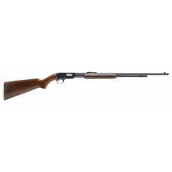 Winchester 61 .22LR (W11864)