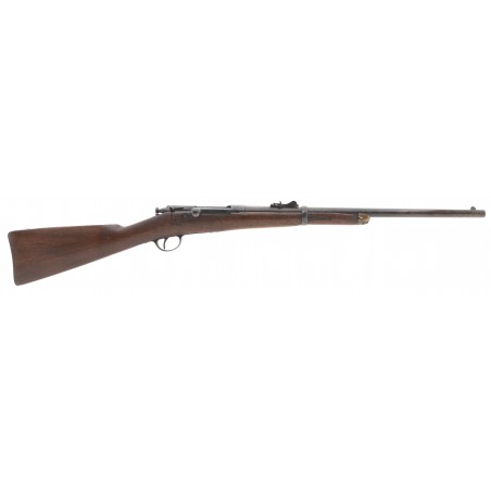 Winchester- Hotchkiss 2nd model 1879 carbine 45-70 (AL7446)