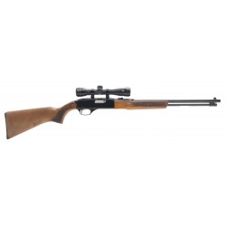 Winchester 190 .22LR (W11762)
