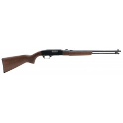 Winchester 190 .22S, L, LR...
