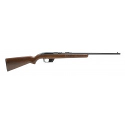 Winchester 77 .22LR (W11410)