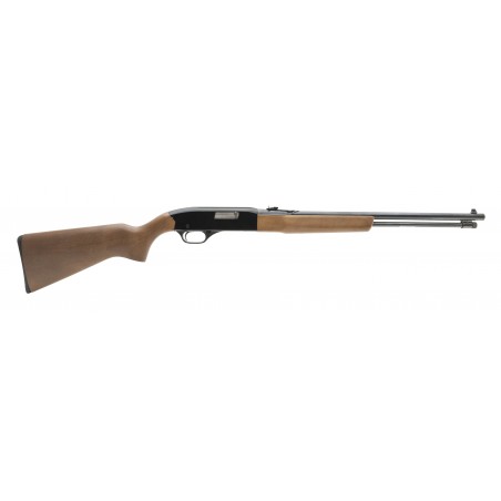 Winchester 190 .22LR (W11887)