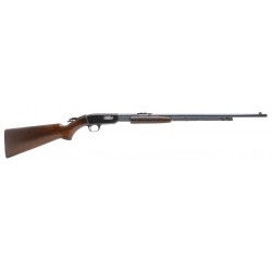Winchester 61 .22LR (W11877)