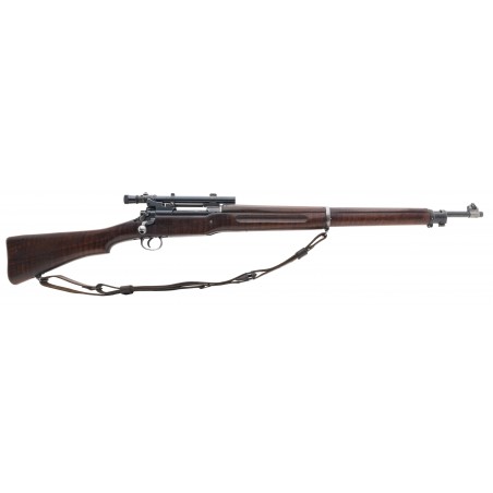 Winchester 1917 30-06 (W12016)