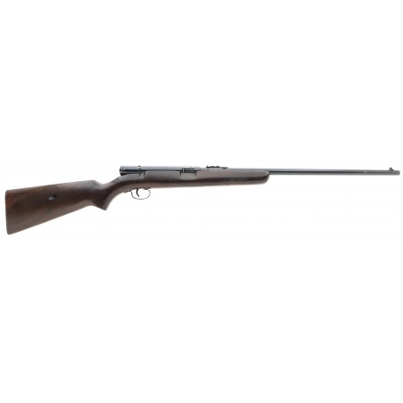 Winchester 73 .22LR (W12050)