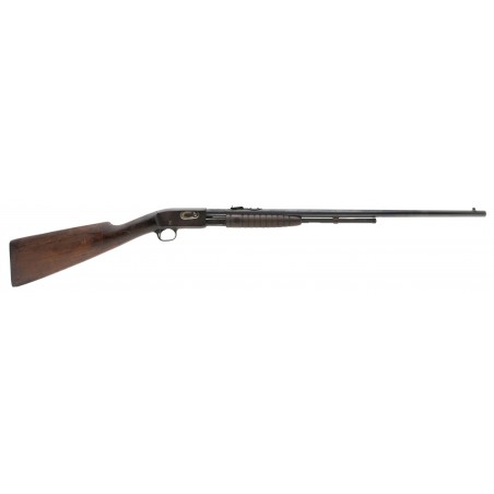 Remington 12 .22LR (R32701)