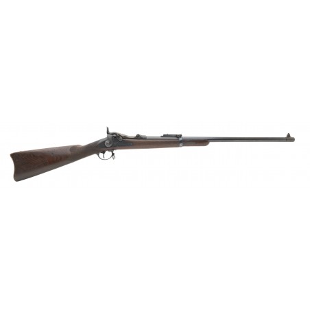 U.S. Springfield Model 1884 cut-down rifle .45-70 (AL7577)