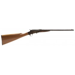 Remington Model 6 .22 LR...