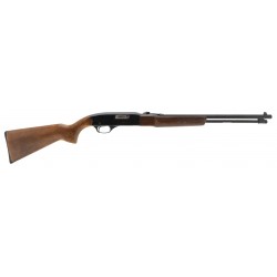 Winchester 190 .22S, L, LR...