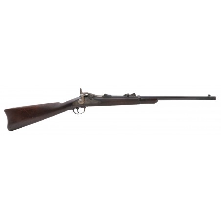 U.S. Springfield Model 1873 "carbine" .45-70 (AL7822)