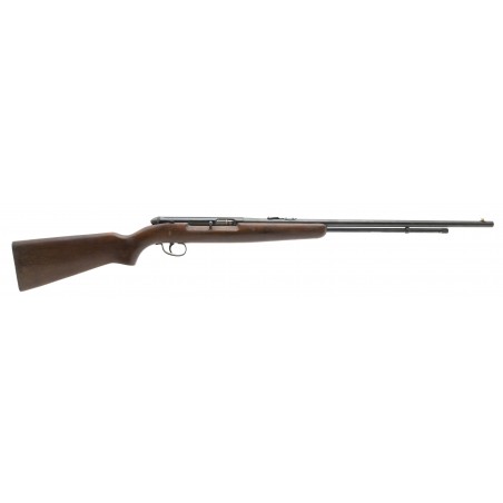 Remington 550-1 .22S, L, LR (R38231)