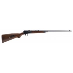 Winchester 63 .22LR (W12125)