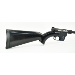 Charter Arms AR-7 .22LR...