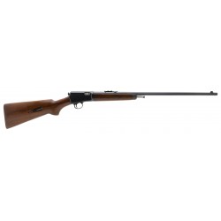 Winchester 63 .22LR (W12215)