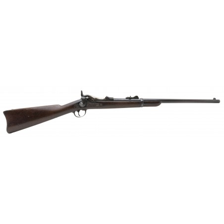 U.S. Springfield Model 1879 Trapdoor carbine .45-70 (AL8027)