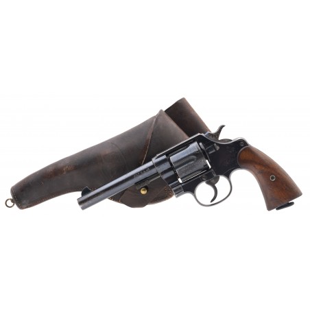 Colt Model 1909 .45 colt (C18559)