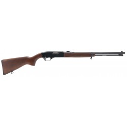 Winchester 190 .22LR (W12308)