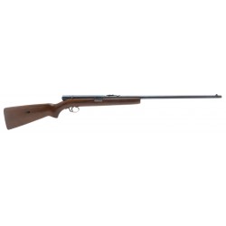 Winchester 74 .22LR (W12240)