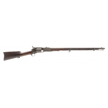 Colt 1855 Military Rifle (AC653)
