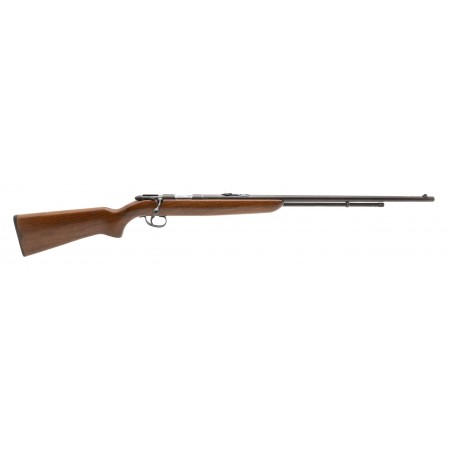 Remington 512 SportsMaster .22S, L, LR (R39505)