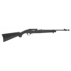 Ruger 10/22 Takedown Fifty...