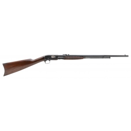 Remington 12C .22LR (R40119)