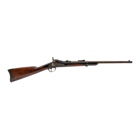 U.S. Springfield Early Trapdoor carbine .45-70 (AL9739)