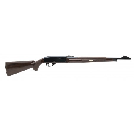 Remington Nylon 66 Rifle .22lr (R40742)